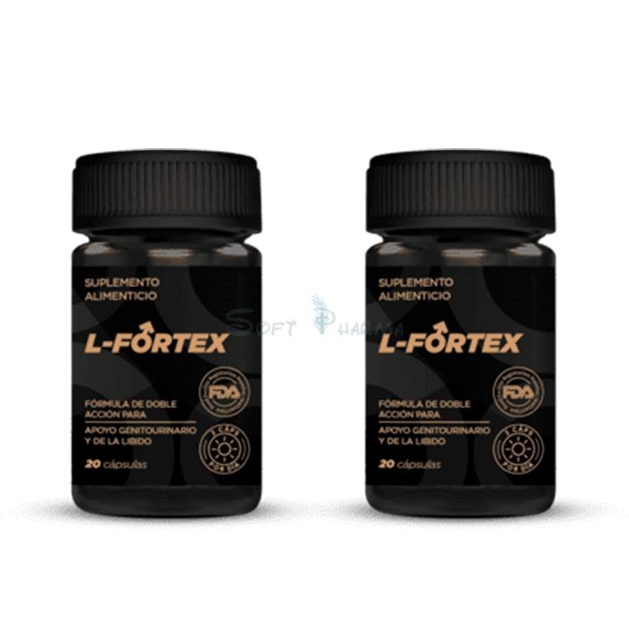 ◈ L-Fortex Prostatitis - producto para la salud de la próstata en Puerto Monte